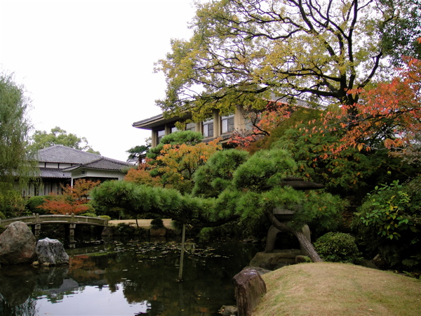 大阪　四天王寺　極楽浄土の庭で鳥と遊ぶ。_e0125762_119811.jpg