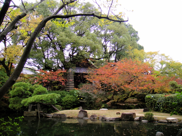 大阪　四天王寺　極楽浄土の庭で鳥と遊ぶ。_e0125762_1201639.jpg