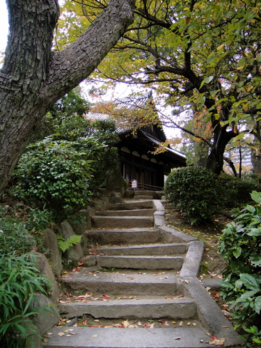 大阪　四天王寺　極楽浄土の庭で鳥と遊ぶ。_e0125762_1224441.jpg