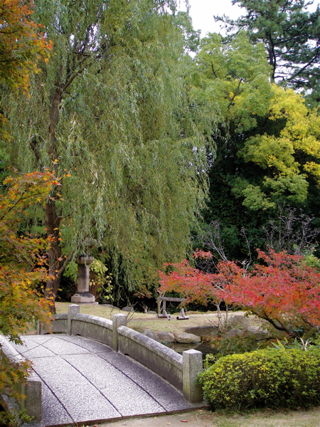 大阪　四天王寺　極楽浄土の庭で鳥と遊ぶ。_e0125762_122649.jpg