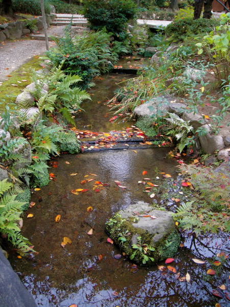 大阪　四天王寺　極楽浄土の庭で鳥と遊ぶ。_e0125762_125686.jpg