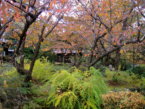 大阪　四天王寺　極楽浄土の庭で鳥と遊ぶ。_e0125762_14293.jpg