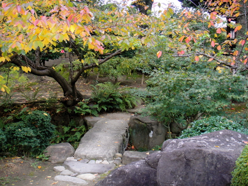 e0125762_153311.jpg