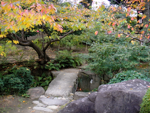 大阪　四天王寺　極楽浄土の庭で鳥と遊ぶ。_e0125762_153311.jpg