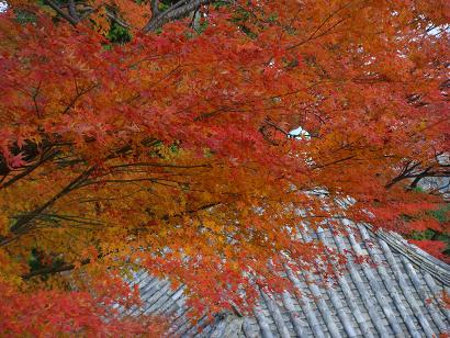 京都市南西部で紅葉狩りを楽しみました。_b0112263_23324832.jpg