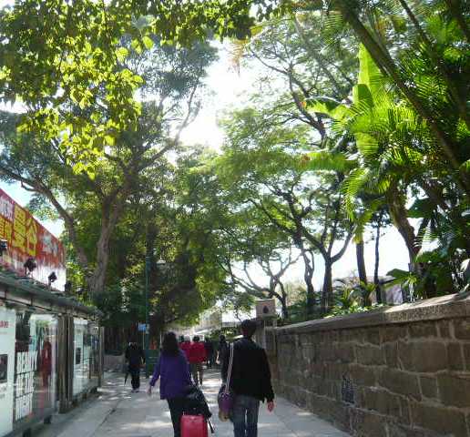 c0100865_11295138.jpg