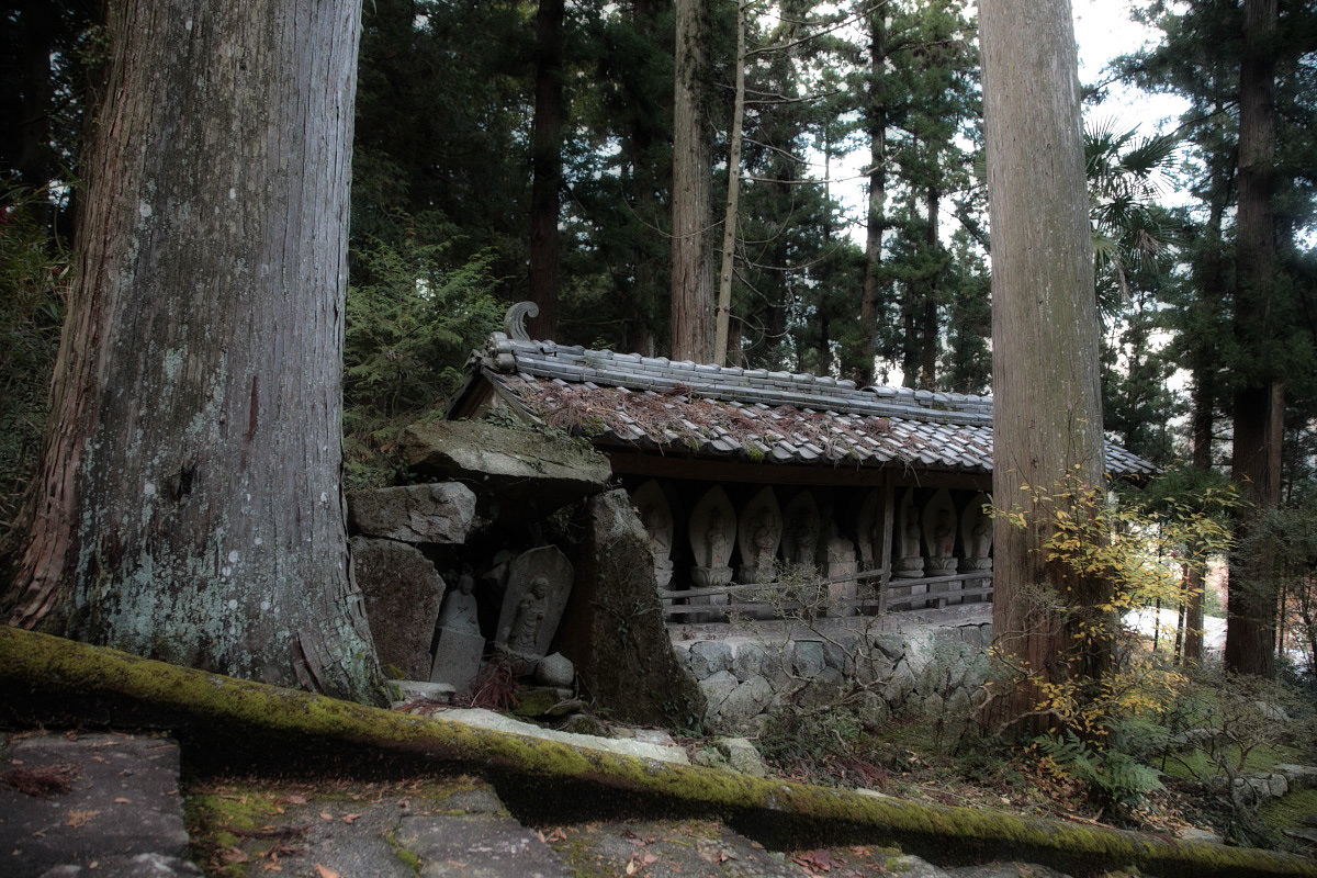 丹波紅葉オフ　<竹林山常勝寺>　　1_f0021869_23423088.jpg