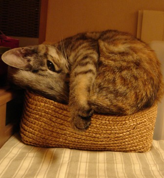 c0135480_0245899.jpg