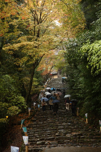 京都、高雄・神護寺_d0110380_23491690.jpg