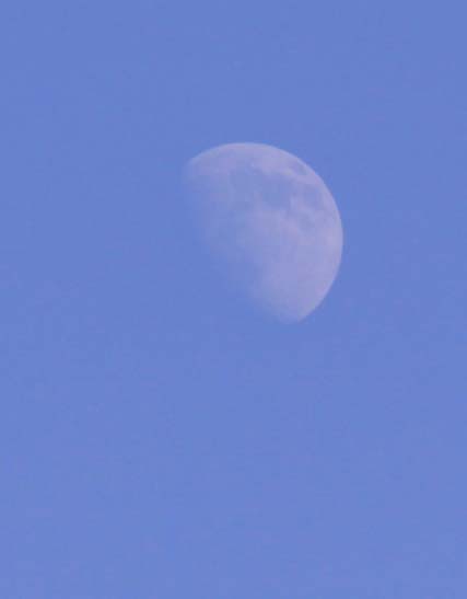 c0177785_6341441.jpg