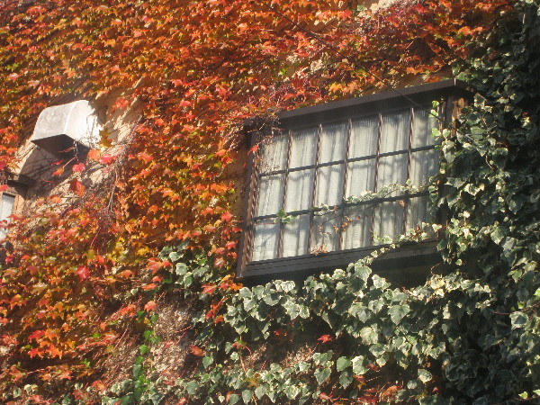 c0132387_29399.jpg