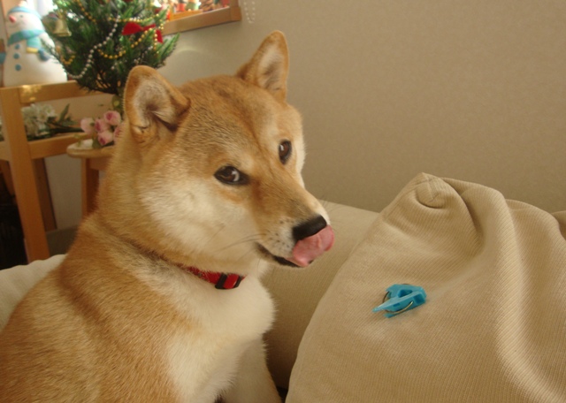 今夜は二人きり_a0126590_22514366.jpg