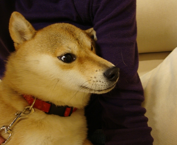 今夜は二人きり_a0126590_22545112.jpg