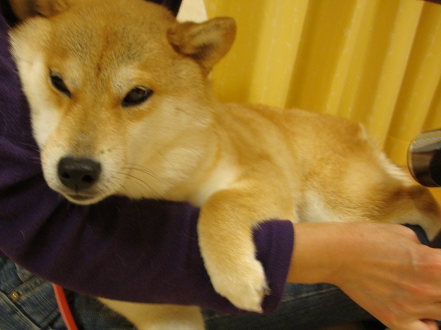 今夜は二人きり_a0126590_2255724.jpg