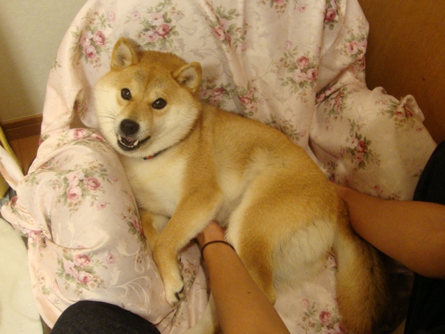 今夜もまた落ちた!?_a0126590_5481586.jpg