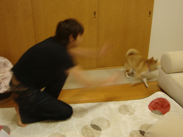 今夜もまた落ちた!?_a0126590_5484359.jpg