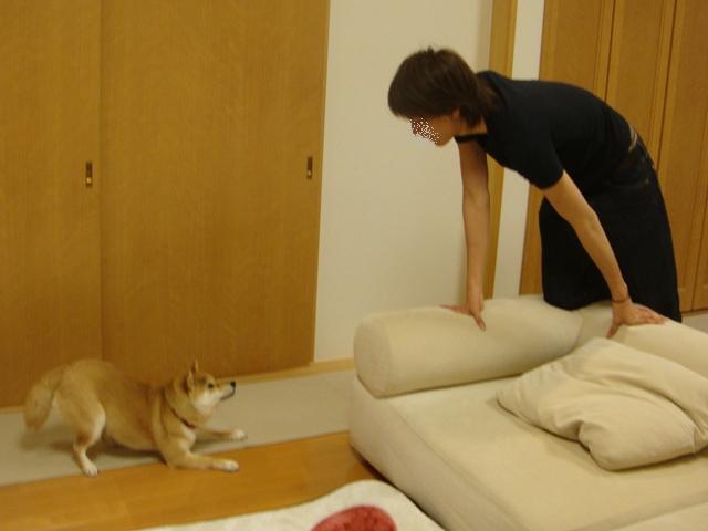 今夜もまた落ちた!?_a0126590_5492890.jpg