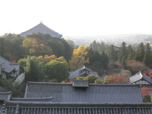 晩秋の奈良公園_d0123492_23232316.jpg
