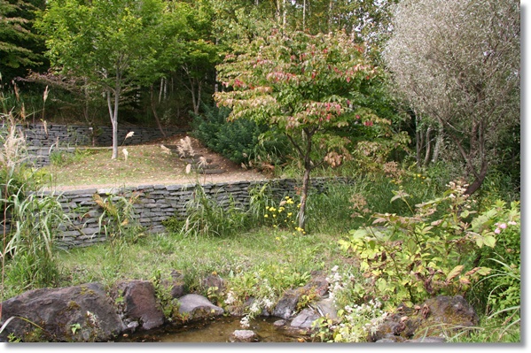 f0146493_21382092.jpg