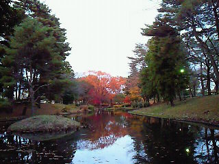 休日。_d0091994_21224450.jpg
