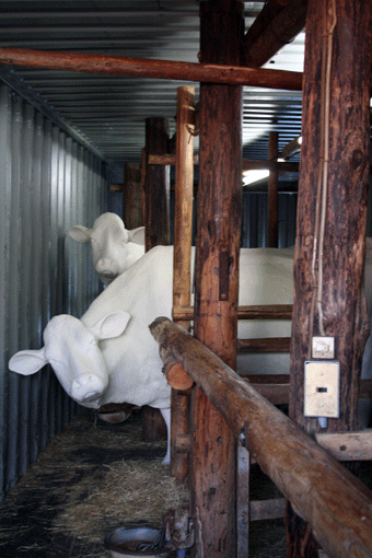 c0100195_1022130.gif