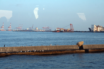 神戸ビエンナーレ2009最終日_c0100195_10484539.gif