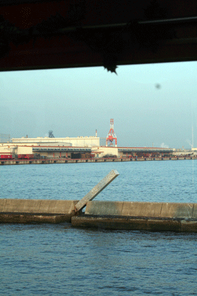 c0100195_10493497.gif