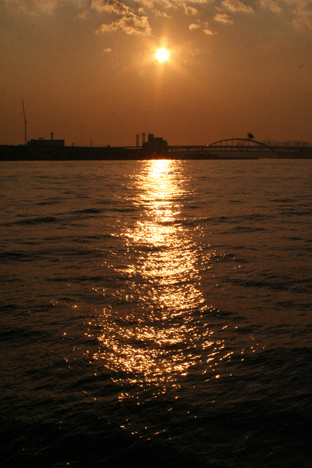 c0100195_1058050.gif