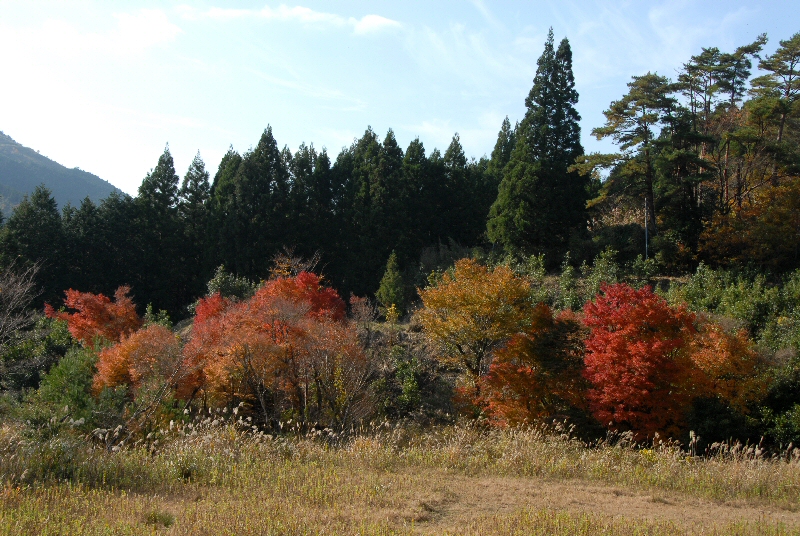 e0112796_1522151.jpg