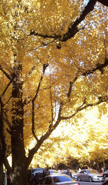 d0133199_20273373.gif