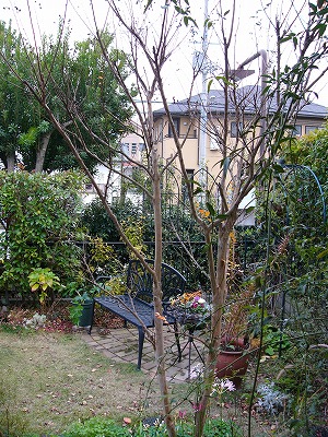 a0123003_1634611.jpg