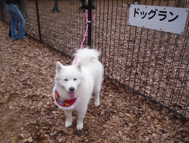 代々木公園へ～♪　　11月28日　[土]_e0018604_15321541.jpg