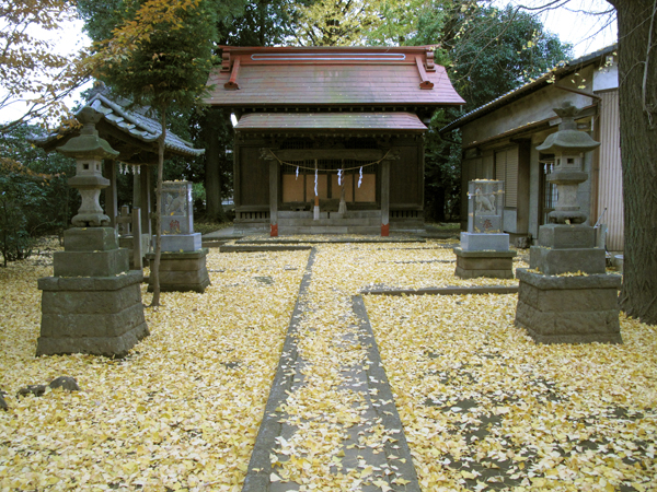 境内の銀杏の葉が晩秋を告げる_d0130714_1993426.jpg