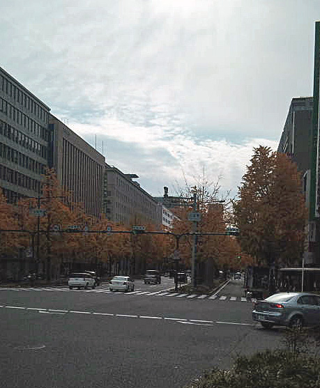 a0098418_2325854.jpg