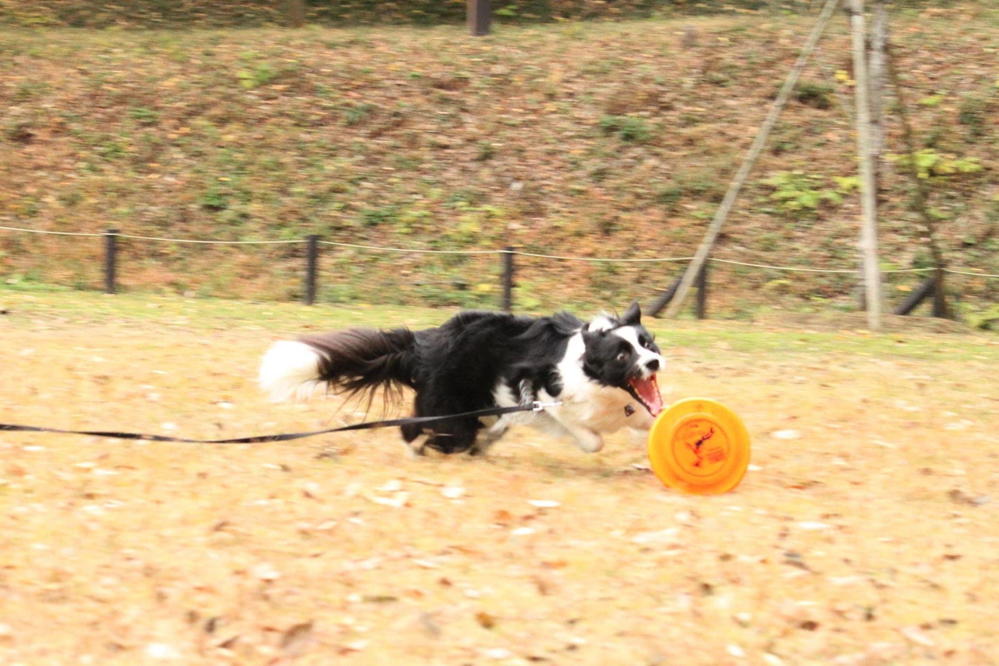 b0183923_20125029.jpg