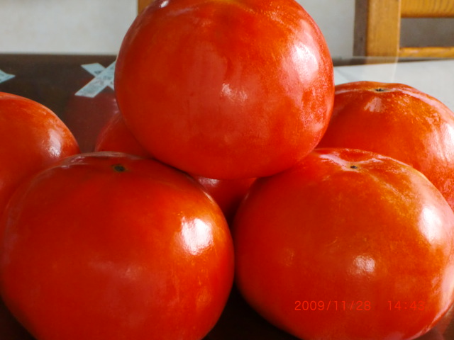 a0054924_22341094.jpg