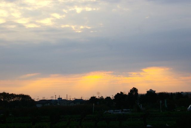 b0115524_13463791.jpg