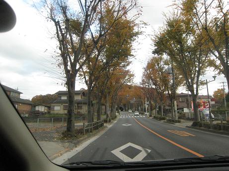 f0166824_026455.jpg