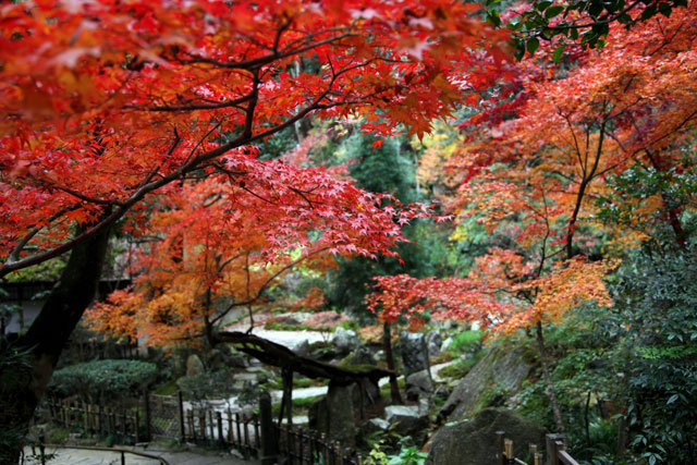 ひろしま八十景　（三瀧寺）_c0064025_1764178.jpg