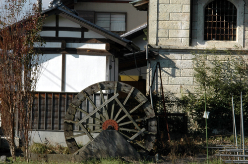 １１月小春日和のドッグラン　　_c0192930_6415396.jpg