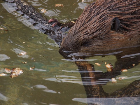 動物園_c0077531_1255958.jpg