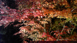 京都!_b0181732_14232443.jpg