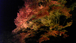京都!_b0181732_14504355.jpg