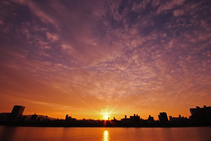 c0175532_9553578.jpg