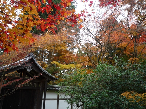 晩秋の京都　（西芳寺）_d0037233_1514582.jpg