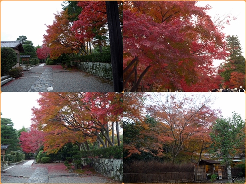 晩秋の京都　（西芳寺）_d0037233_15312278.jpg