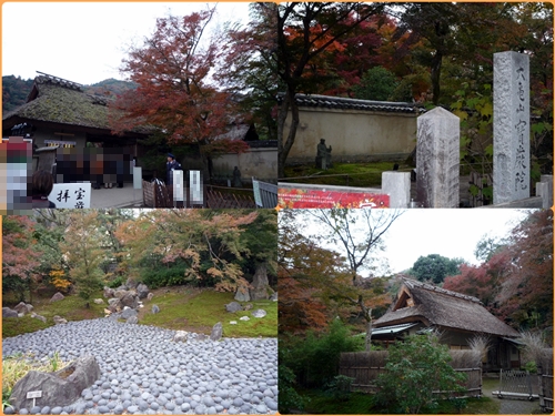 晩秋の京都　（西芳寺）_d0037233_15315282.jpg