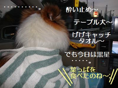 等々力緑地で黒星ひとつ。。。_e0195743_22411932.jpg