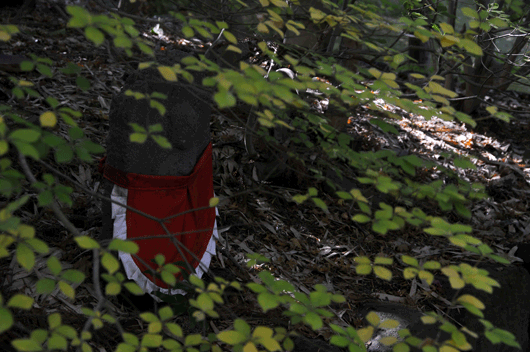 大乗寺にて(Ⅱ)_c0093046_729251.gif