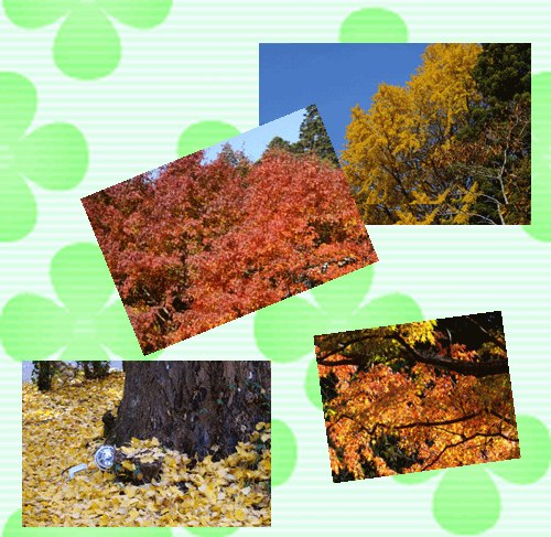 f0031546_14551825.gif